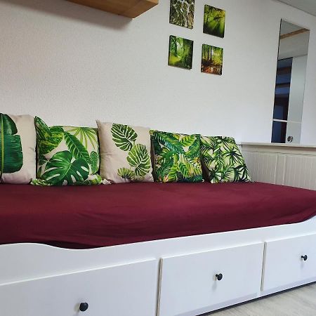 Apartment Happy Memories Titisee-Neustadt Exterior foto